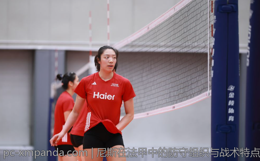 尼斯在法甲中的防守组织与战术特点探究